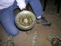 Picture_224