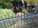 100523-Temple-Time-Capsule-021