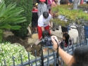 100523-Temple-Time-Capsule-046