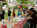110612 VHBT WLA Joint Picnic 015a
