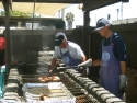 110716 Venice Obon 013