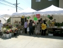 110716 Venice Obon 069