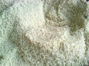 IMG01000-20111210-0649