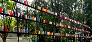DSC05055
