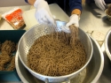 121230-Fujinkai-Soba-Making-009