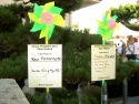 Hatsubon cards and pinwheels from last year